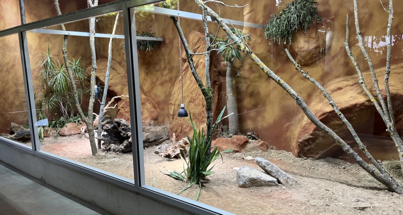 Die Madagaskar-Anlage im Exotarium des Zoo Neuwied