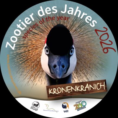 Logo Zootier des Jahres 2026