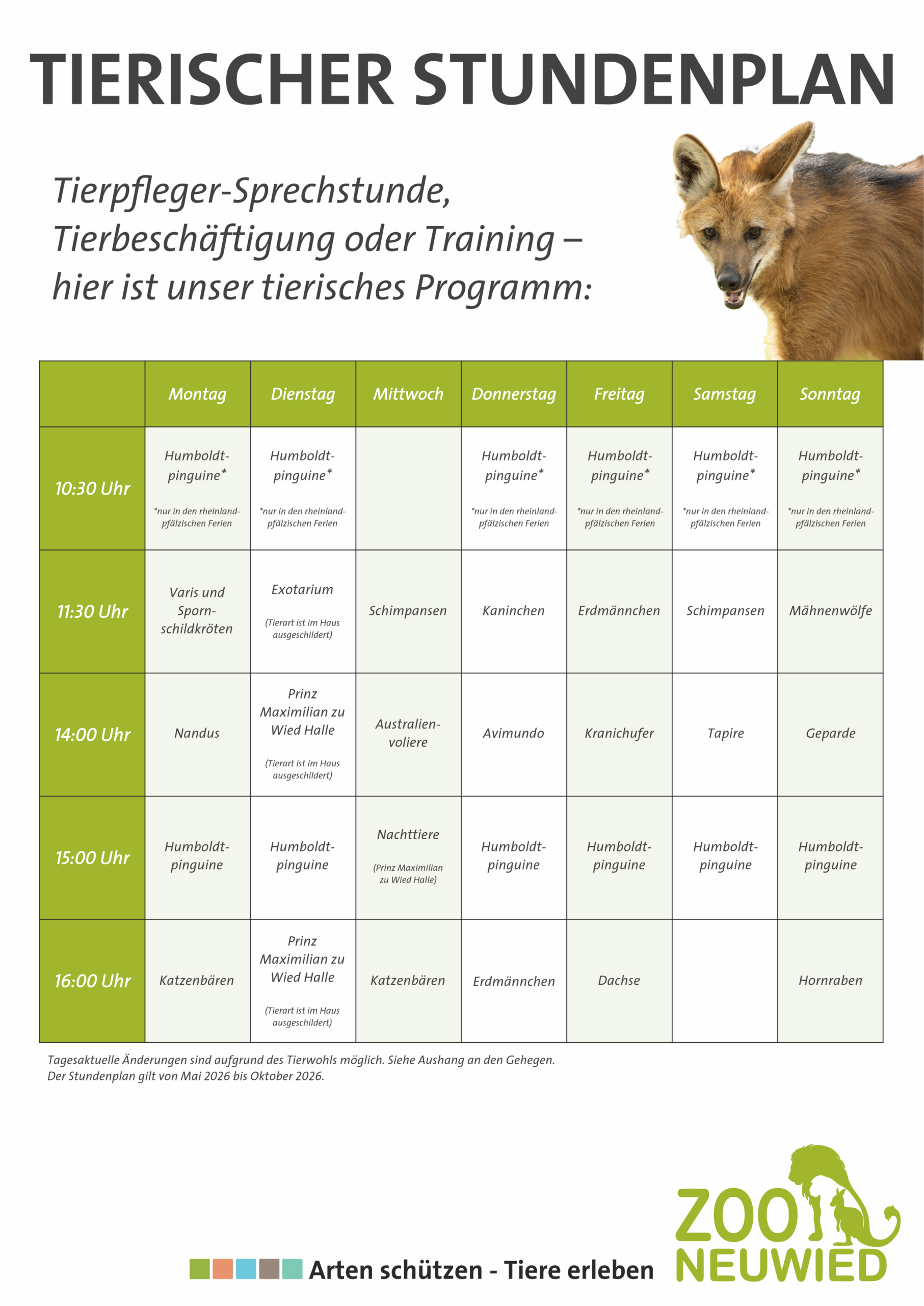 Tierischer Stundenplan hochkant eine Tabelle mit den Zeiten des Tierischen Stundenplans im Zoo Neuwied zu Programmpunkten in der Woche