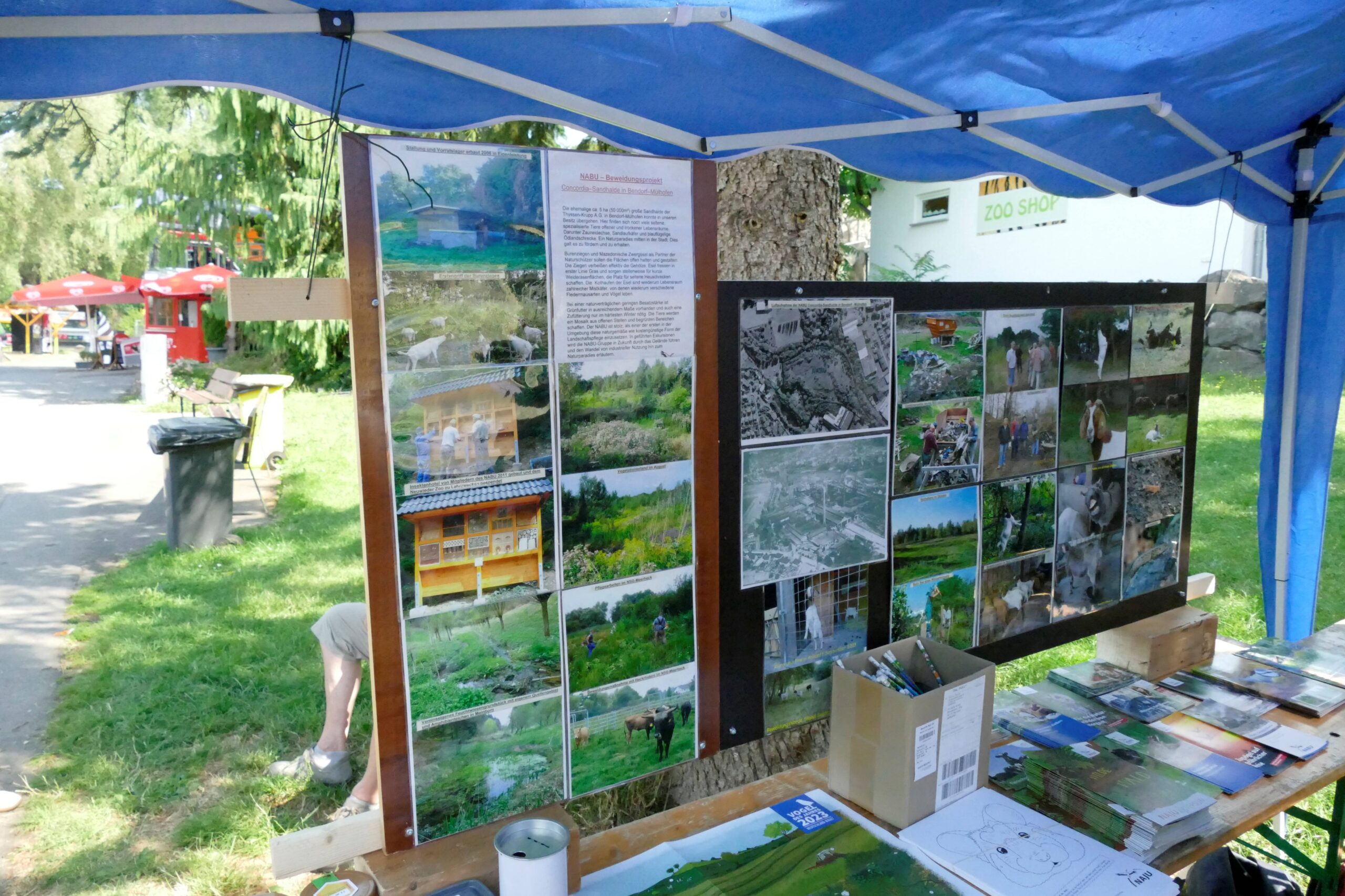 Artenschutzfest_Franziska Waked Stand des Nabus im Zoo Newied mit vielen Bildern zu Naturschutzprojekten